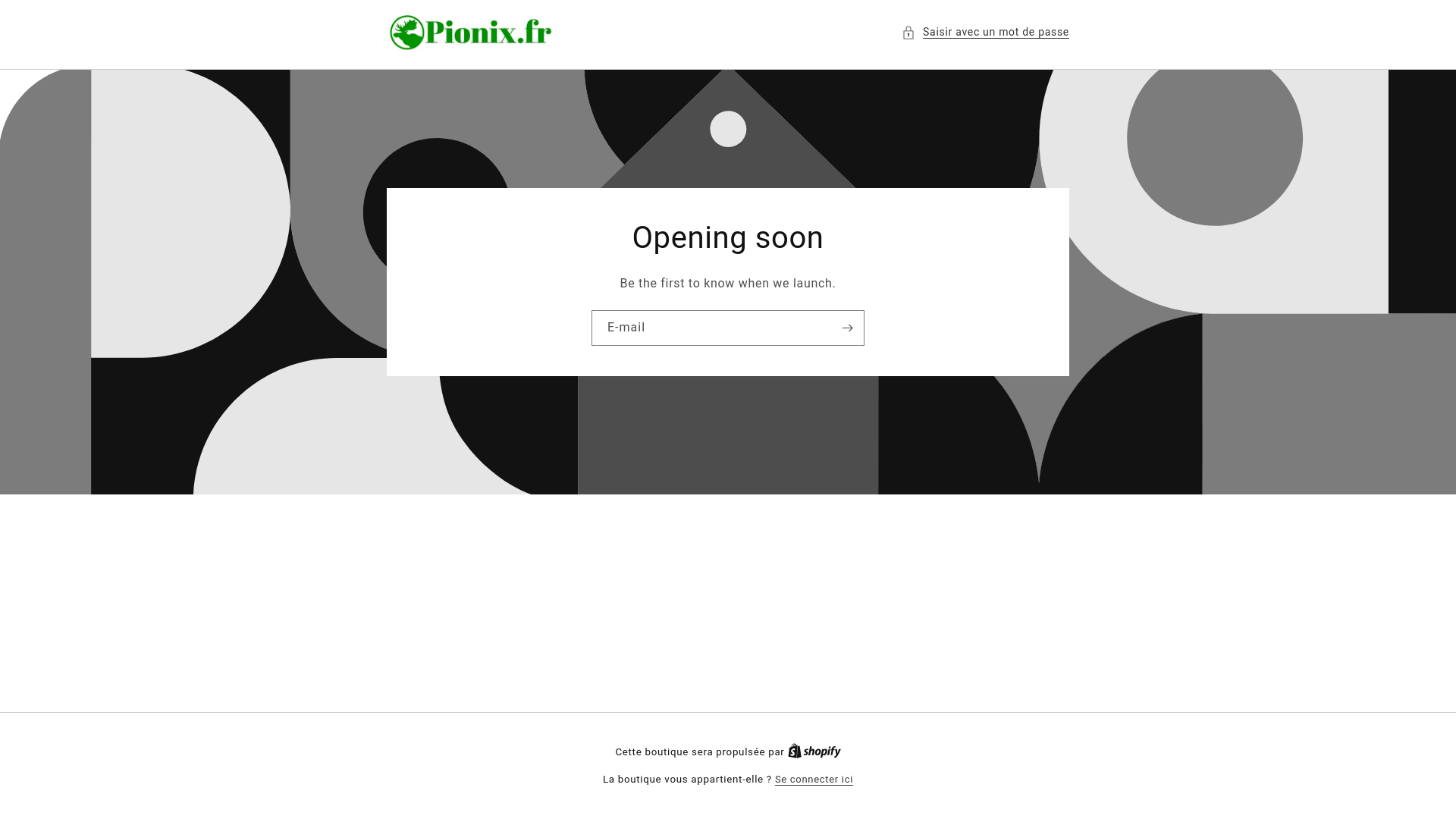 website screenshot of https://autolaveuse-pionix.fr/