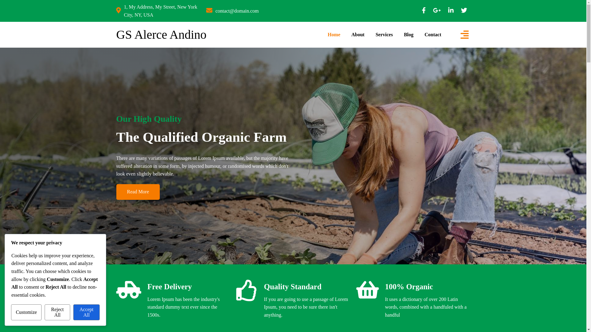website screenshot of https://gsalerceandino.cl/