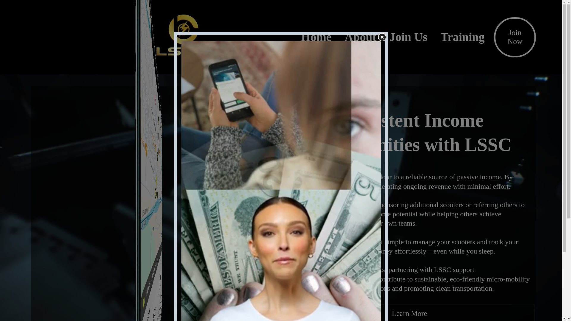 website screenshot of https://lightingscooter.com/