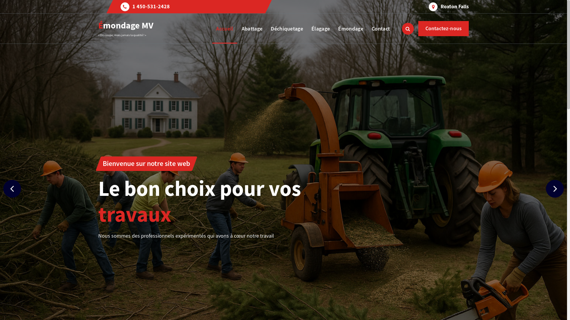 website screenshot of https://emondagemv.ca/