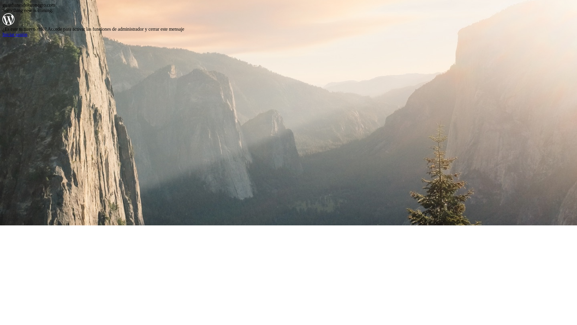 website screenshot of https://guardianesdeloronegro.com/