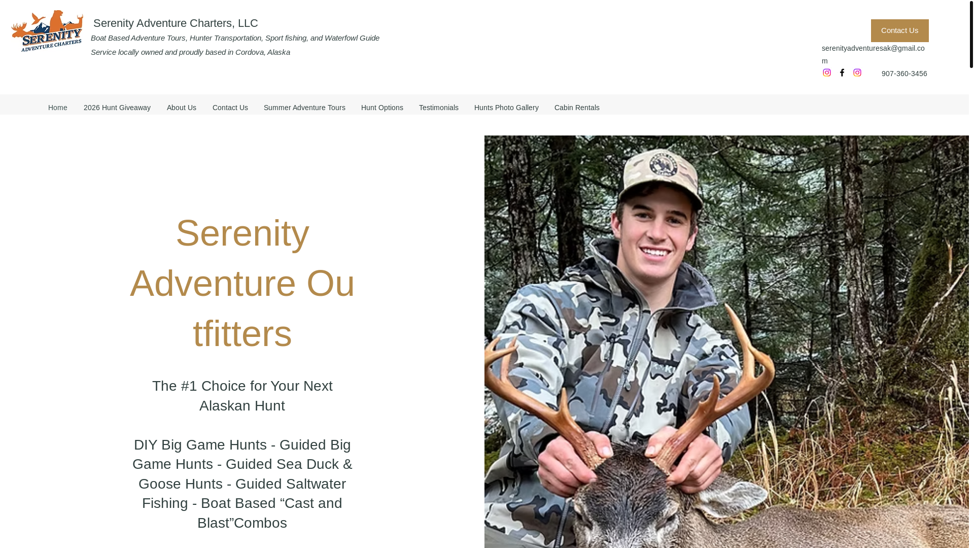 website screenshot of https://serenityalaska.com/