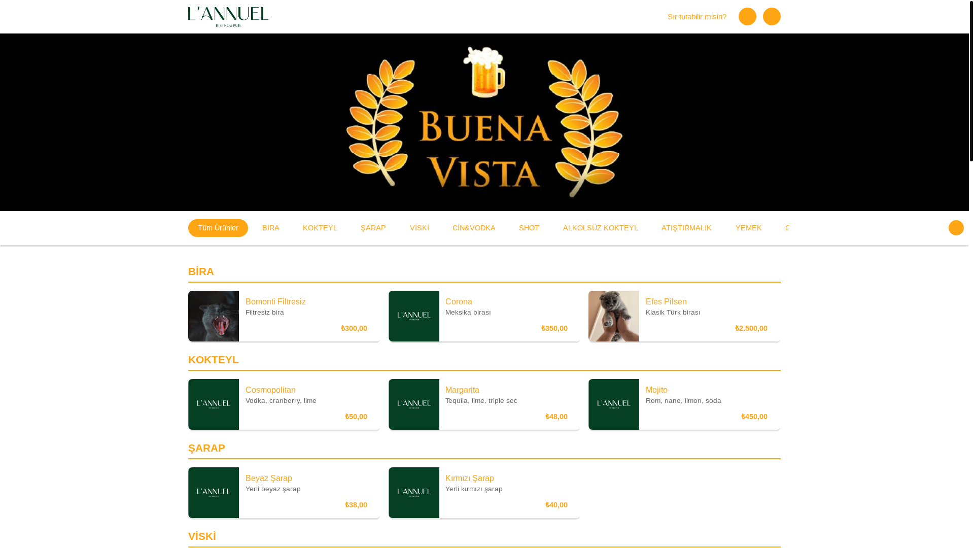 website screenshot of https://buenavistamersin.com/