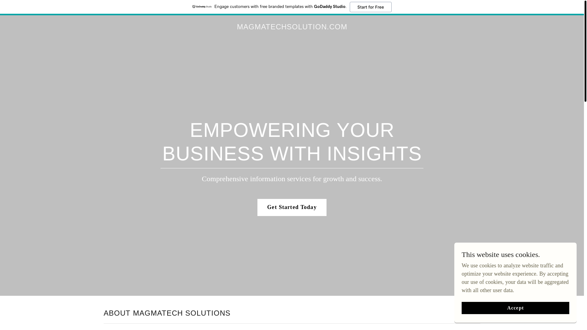 website screenshot of https://magmatech.solutions/