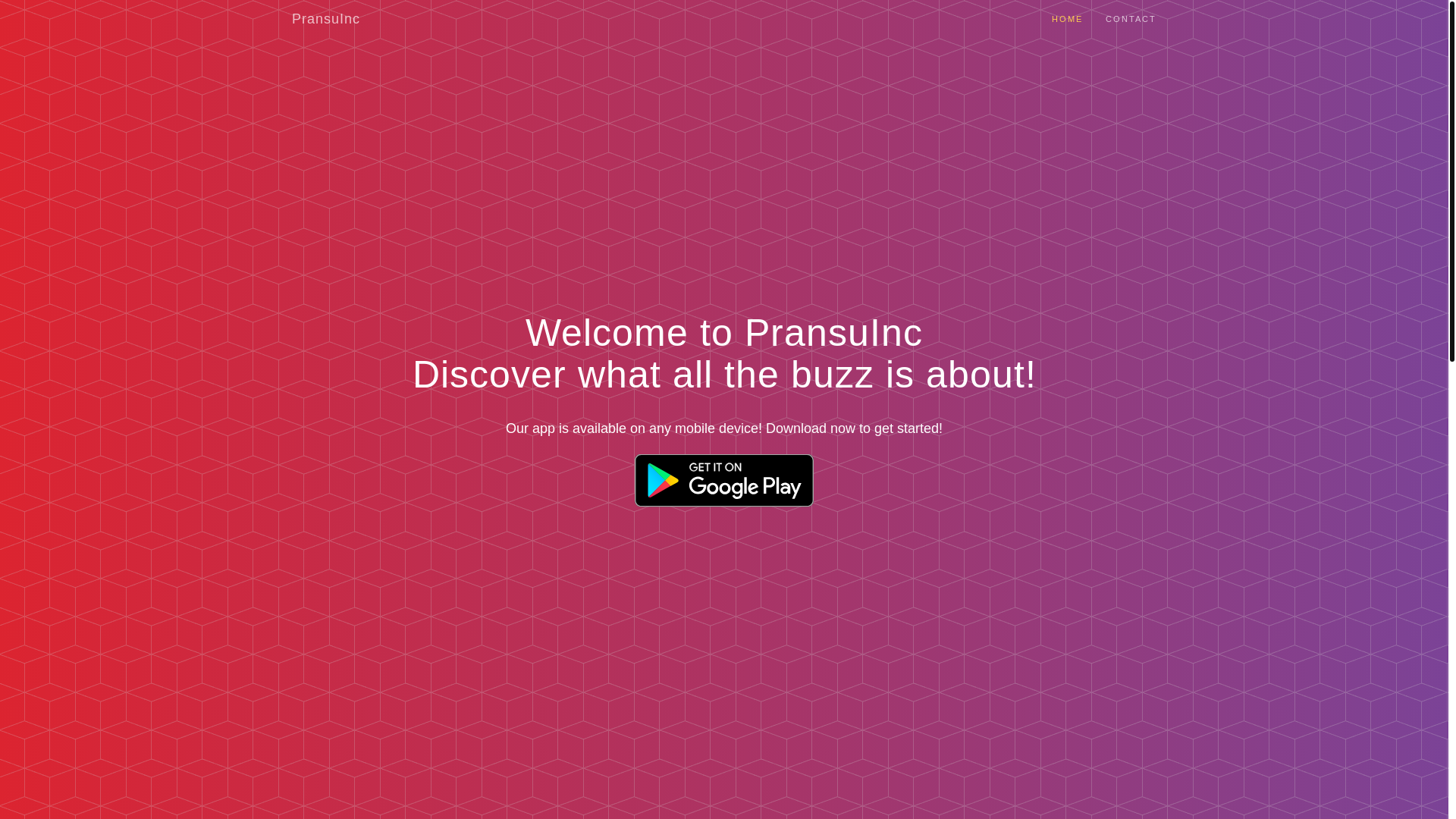 website screenshot of https://pransuinc.pages.dev/