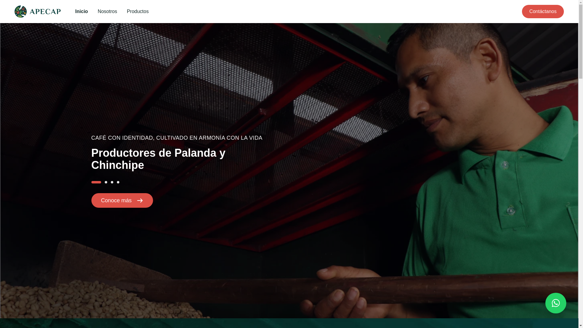 website screenshot of https://apecapecuador.org/