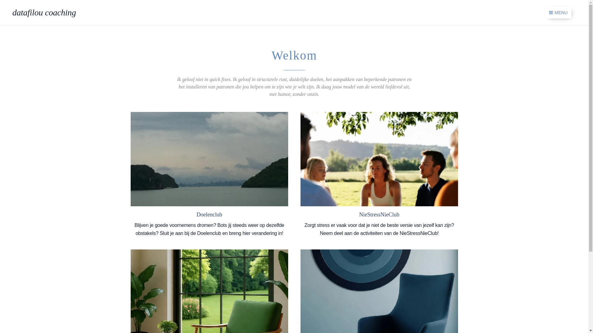 website screenshot of https://rosyhoppe.be/