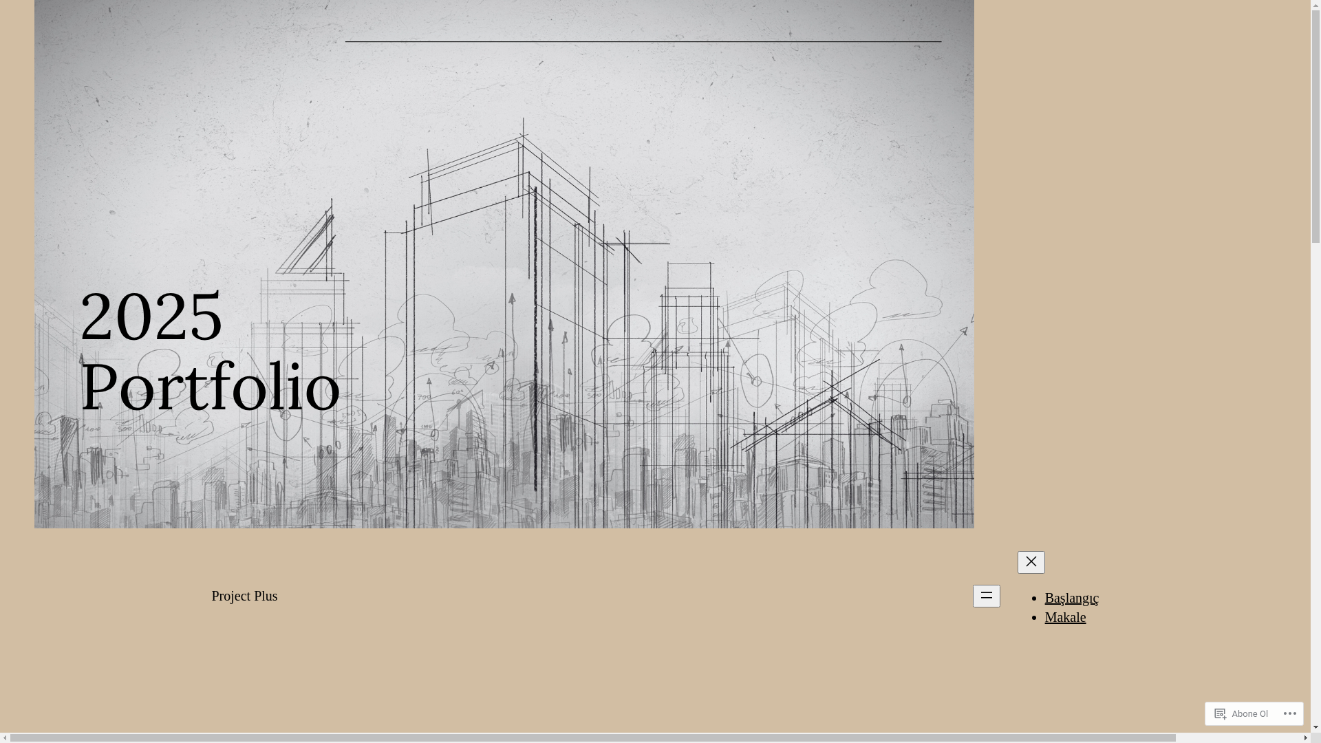 website screenshot of https://projectplus.solutions/