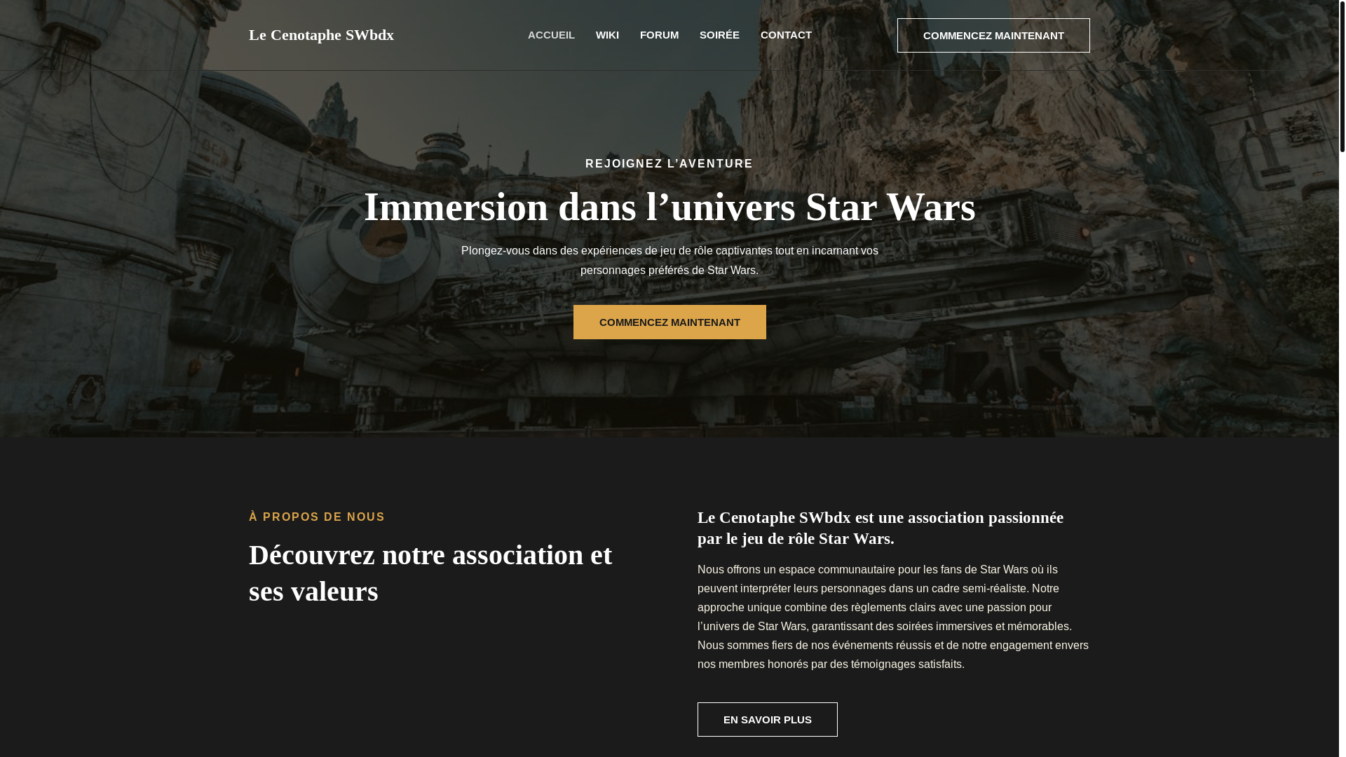 website screenshot of https://lecenotaphe-swbdx.fr/