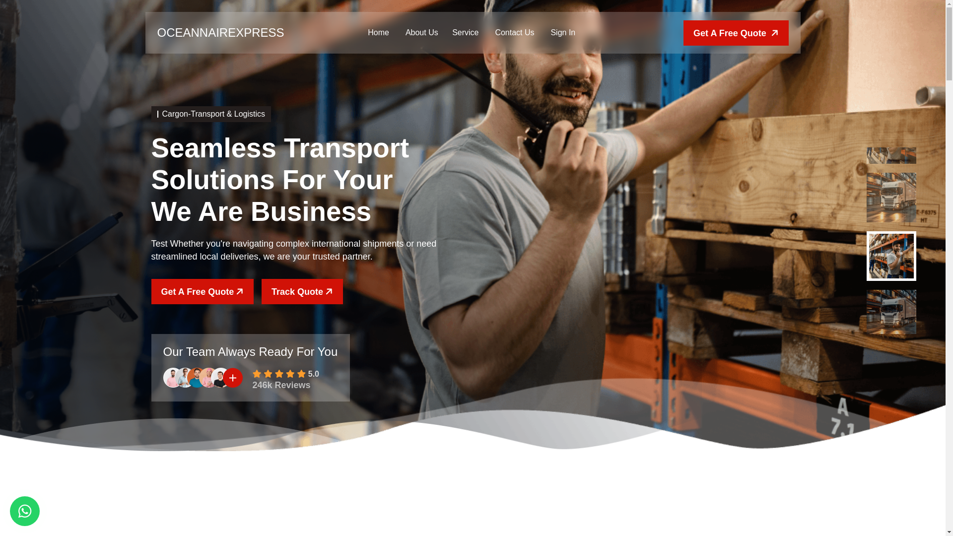 website screenshot of https://oceannairexpress.com/