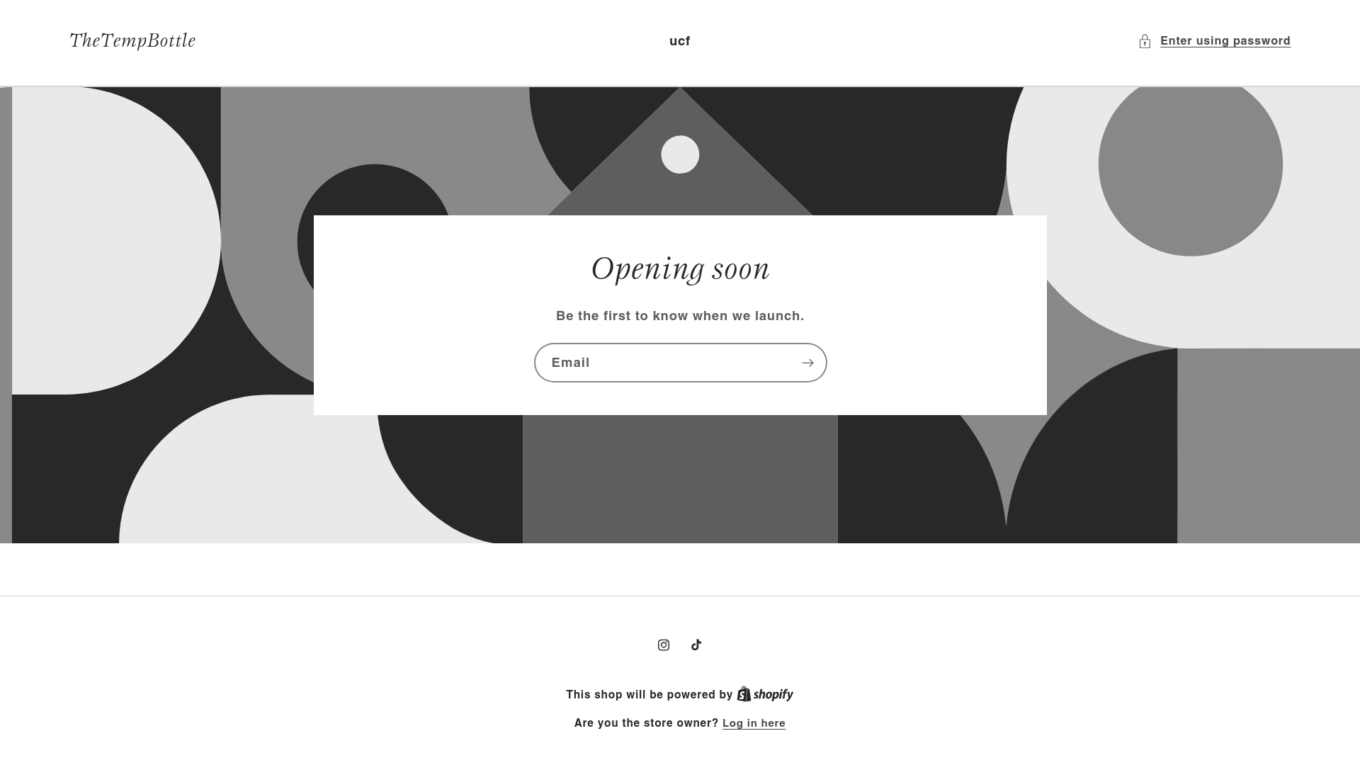 website screenshot of https://thetempbottle.com/
