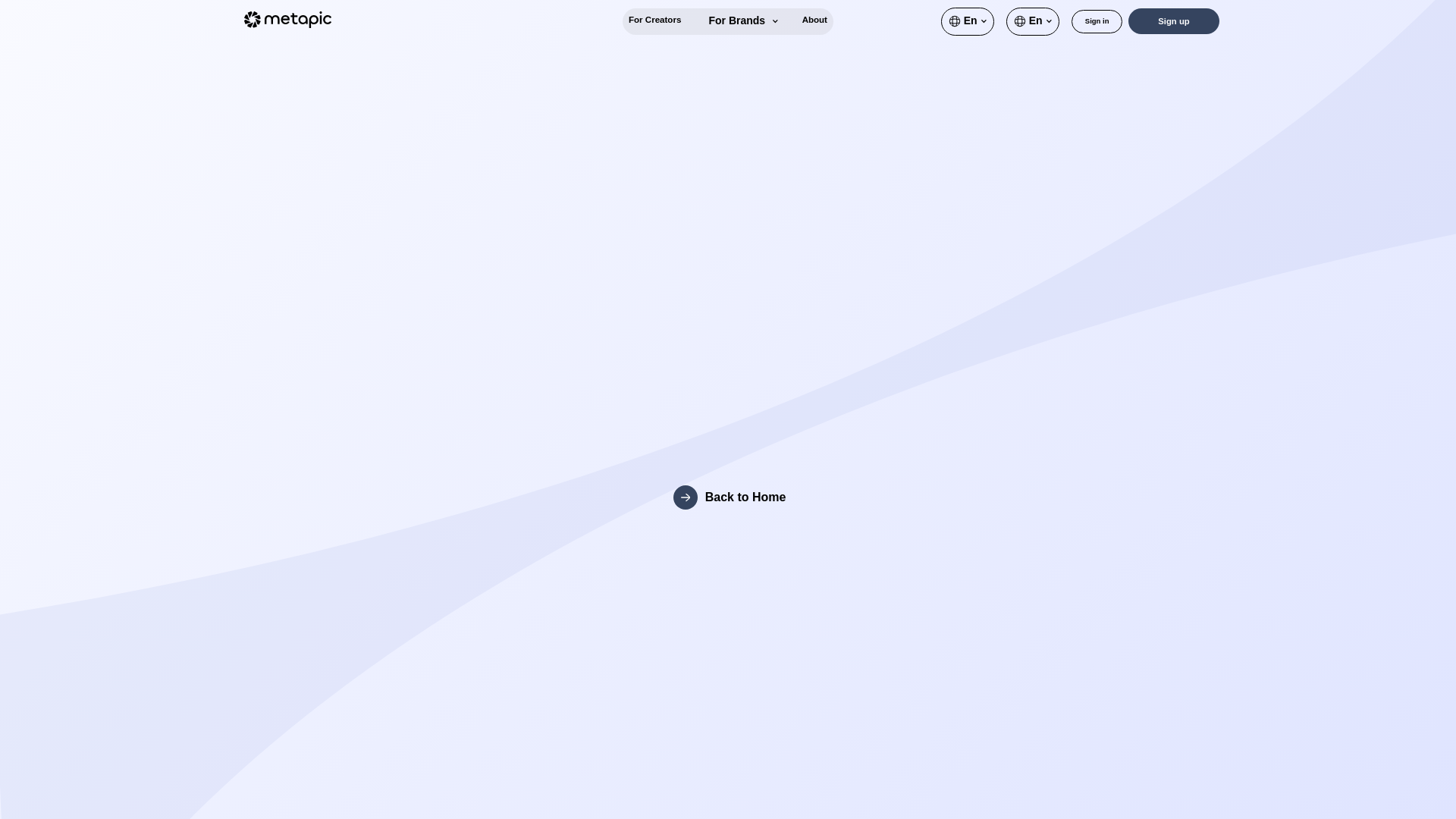 website screenshot of https://choose-metapic.com