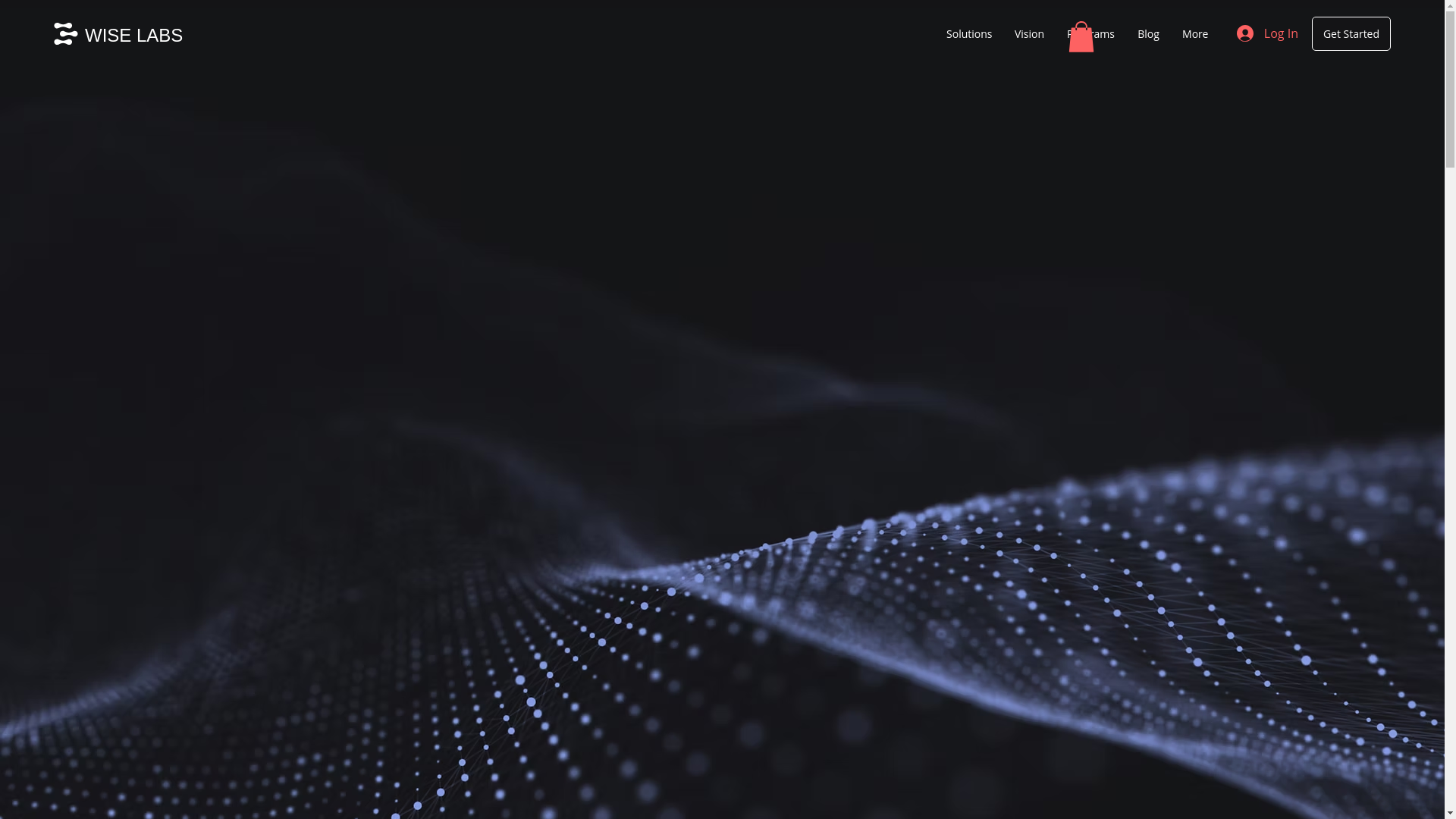 website screenshot of https://wiselabs.com.au/