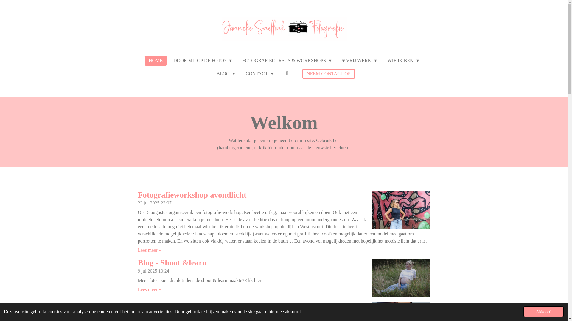 website screenshot of https://jannekesnellinkfotografie.nl/