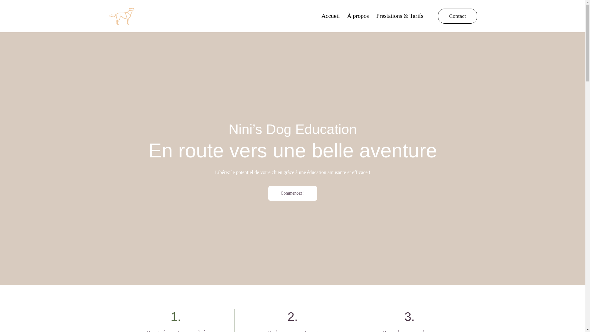 website screenshot of https://ninisdog-education.fr/