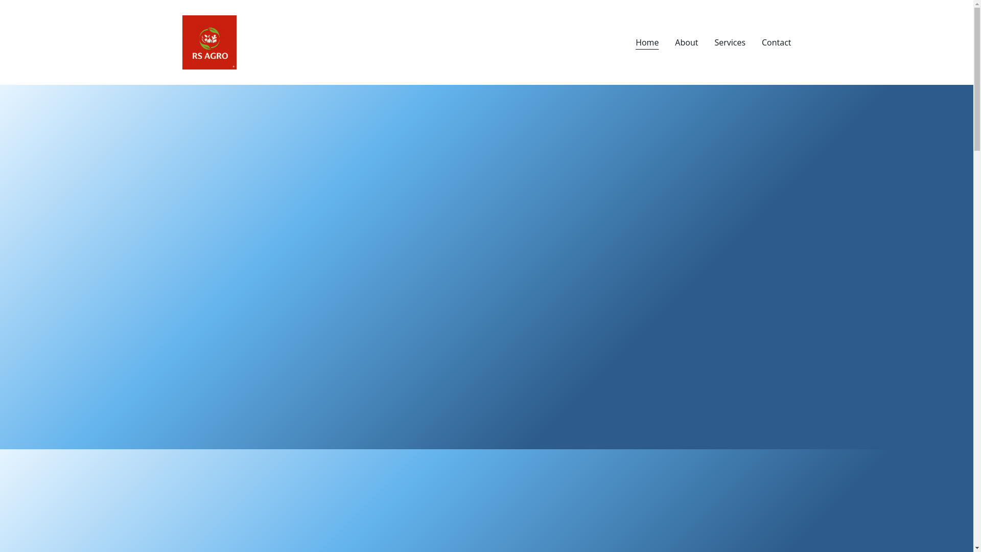 website screenshot of https://rsinternational.io/