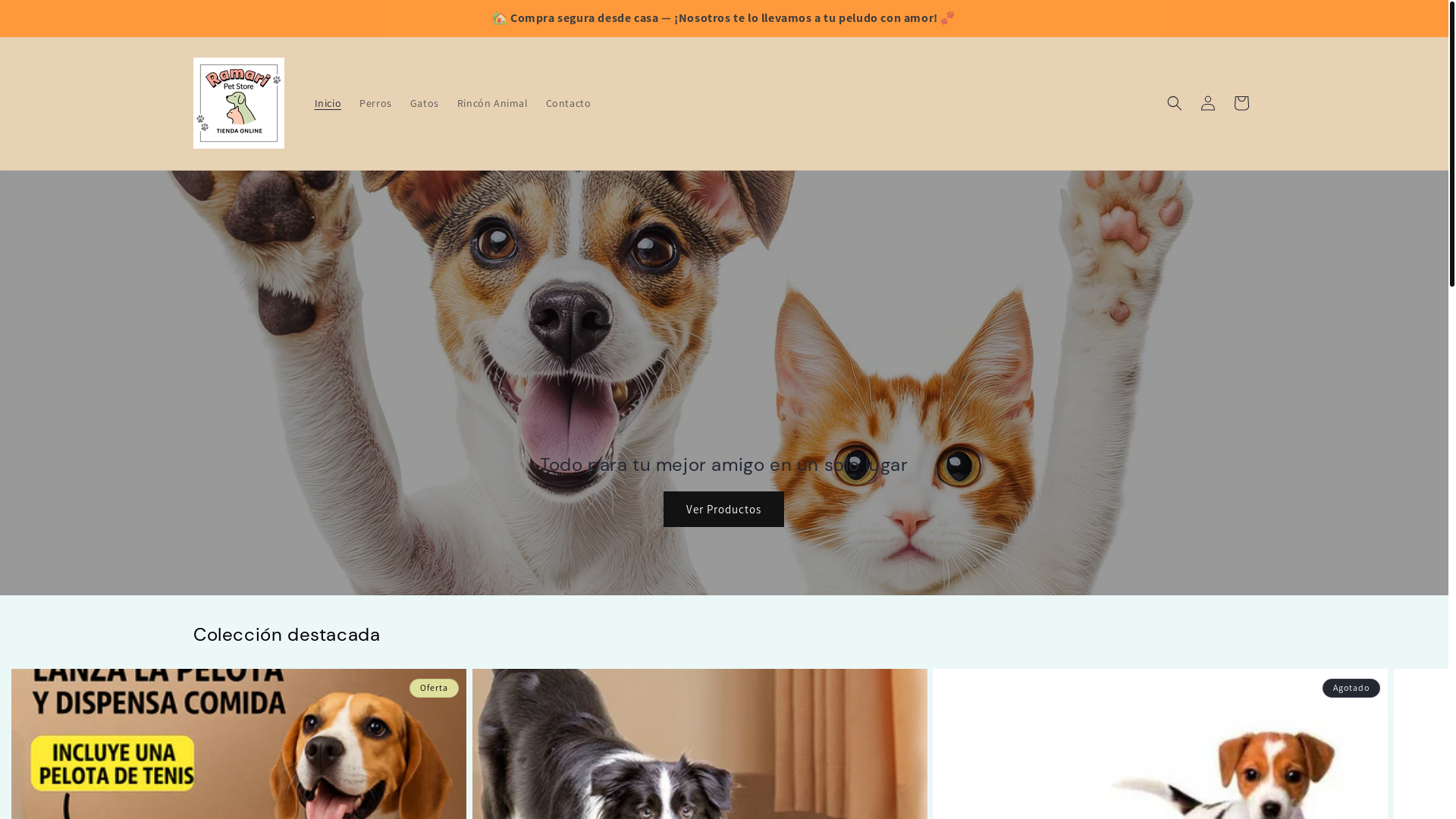website screenshot of https://ramaripet.com/