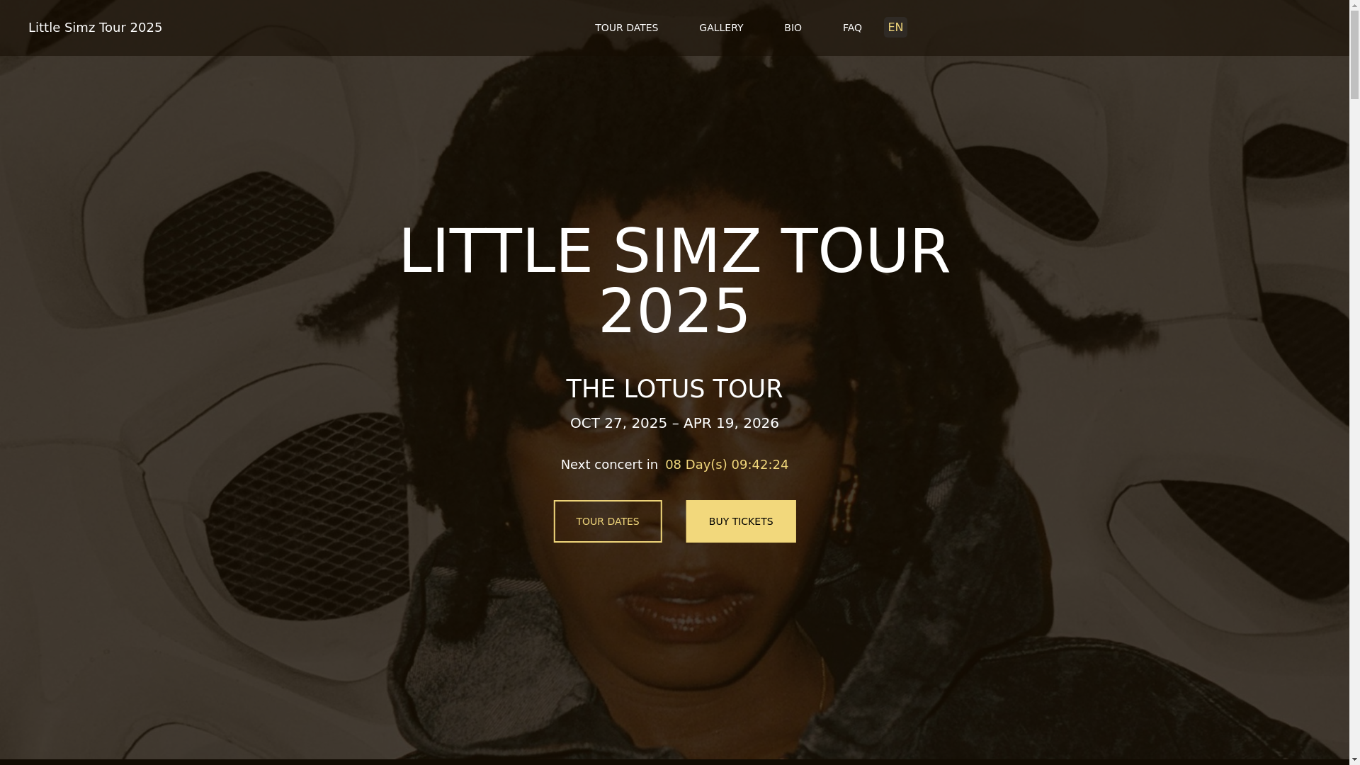 website screenshot of https://littlesimztour-com-github-io.pages.dev/