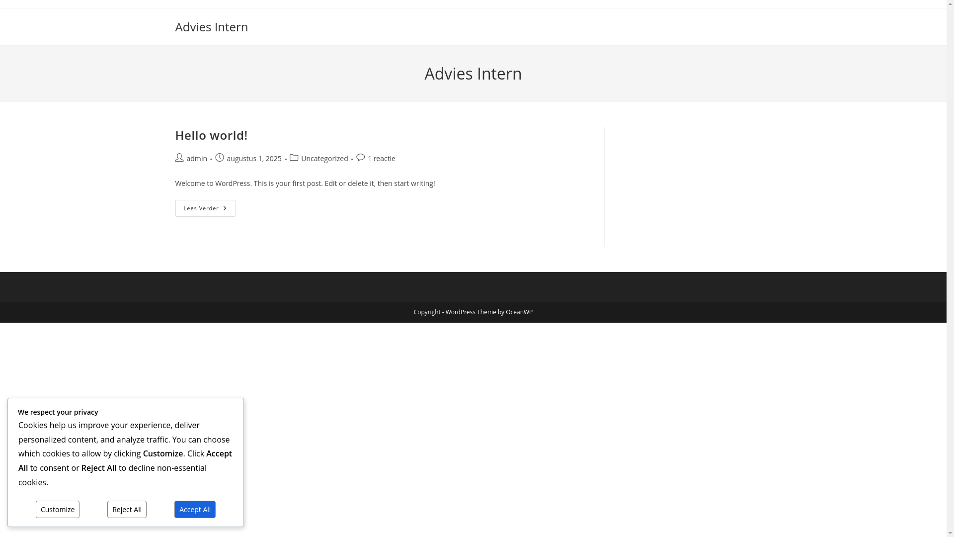 website screenshot of https://adviesintern.nl/
