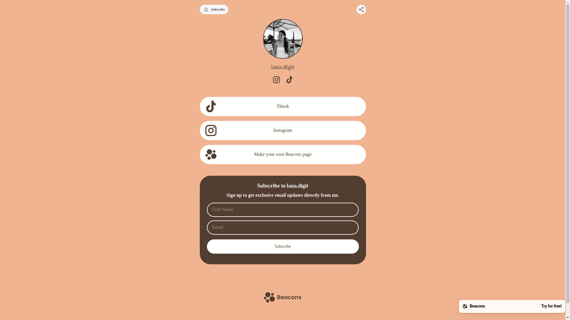 website screenshot of https://lanadigit.com/