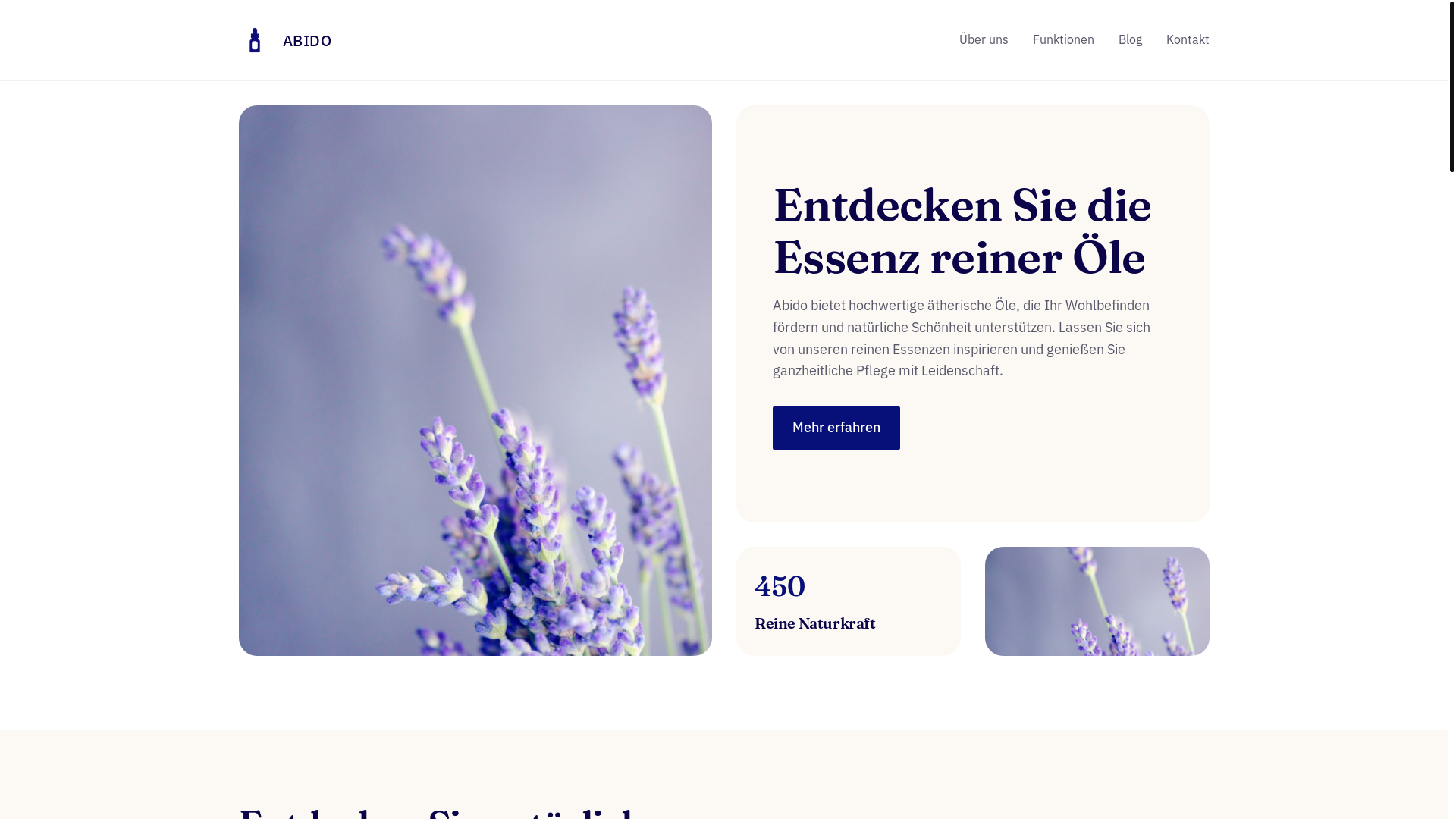 website screenshot of https://abido-hanafi.de/