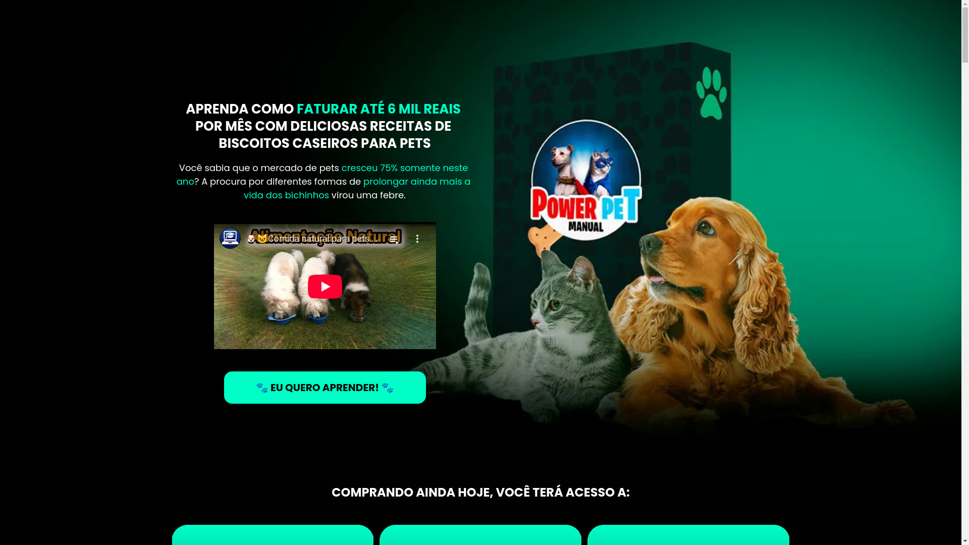 website screenshot of https://rmdigitalinnovations.com.br/