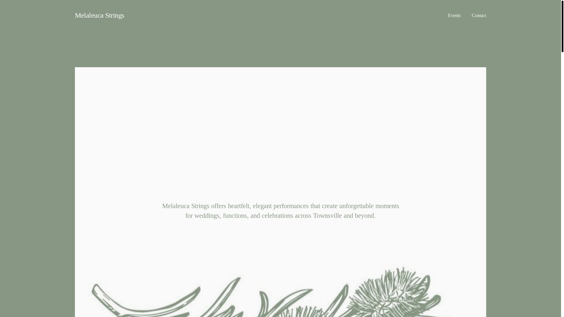 website screenshot of https://melaleucastrings.com.au/