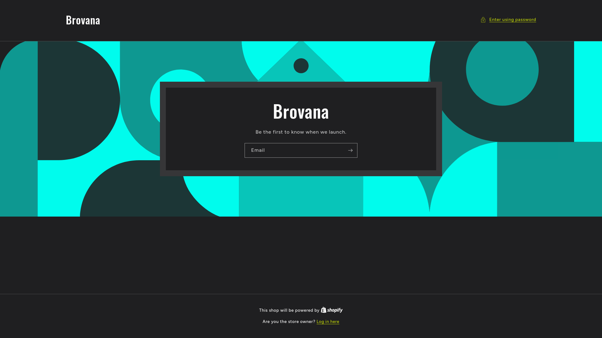 website screenshot of https://brovana.store/