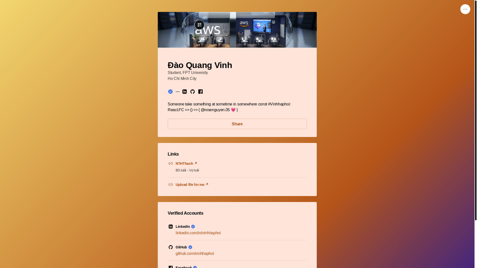 website screenshot of https://vinhhaphoi.bio/