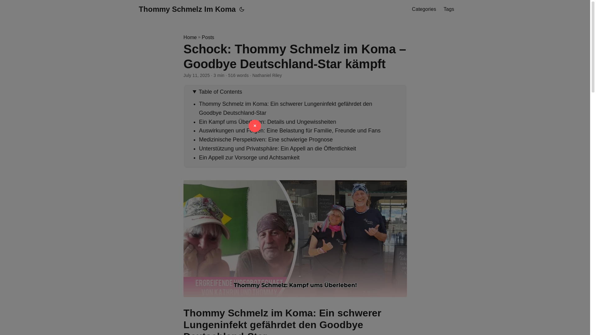website screenshot of https://thommy-schmelz-im-koma.pages.dev/
