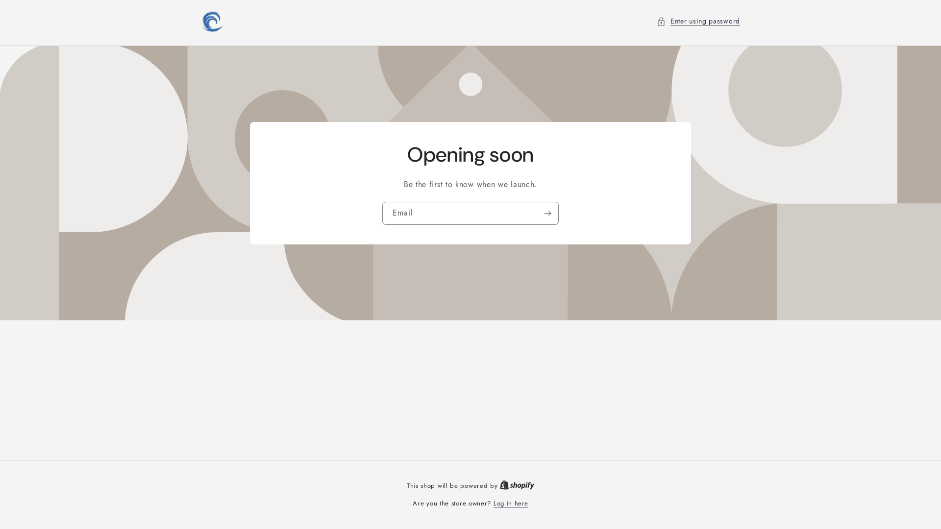website screenshot of https://thewavestore.shop/