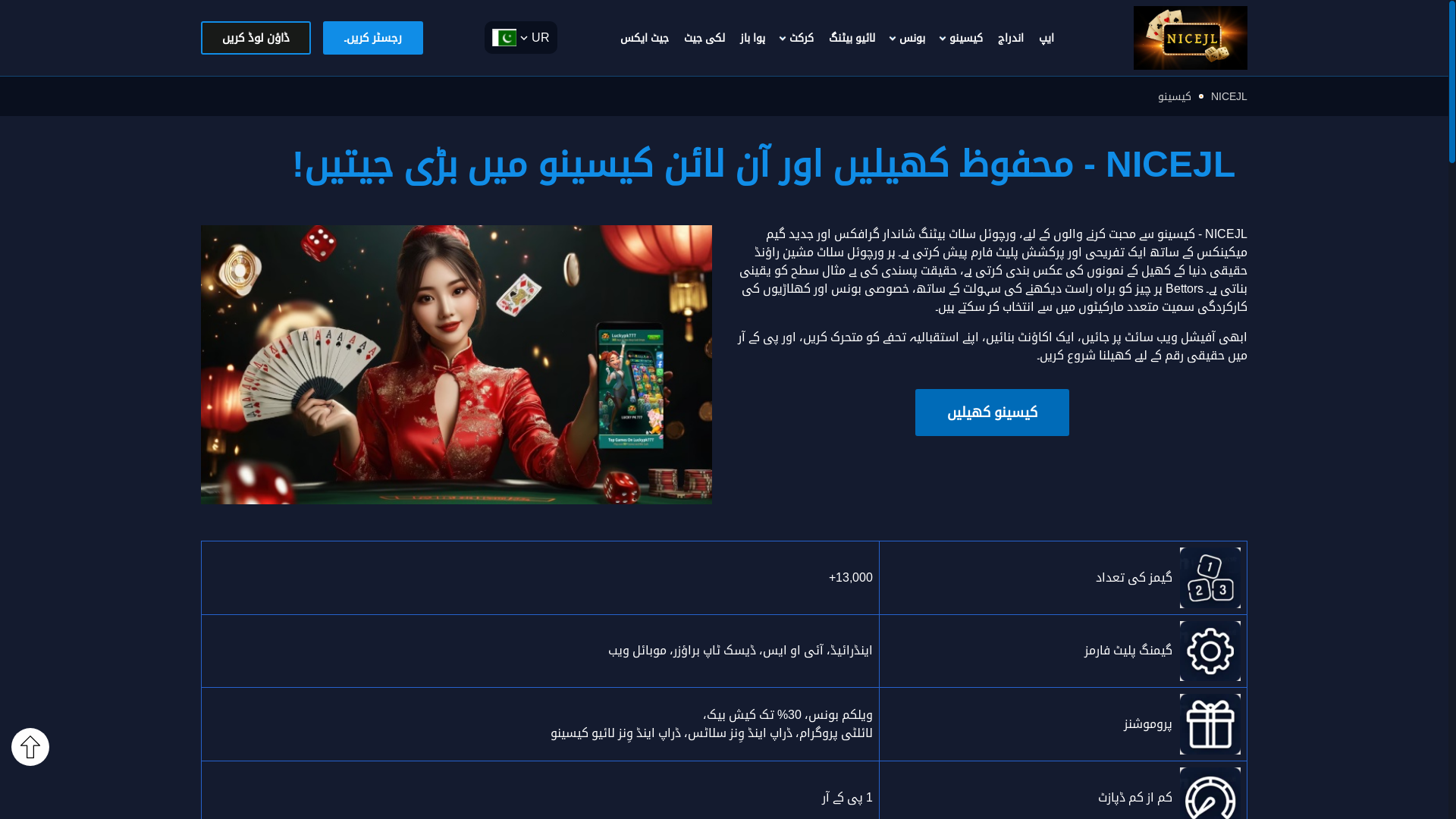 website screenshot of https://nicejlpk.com/