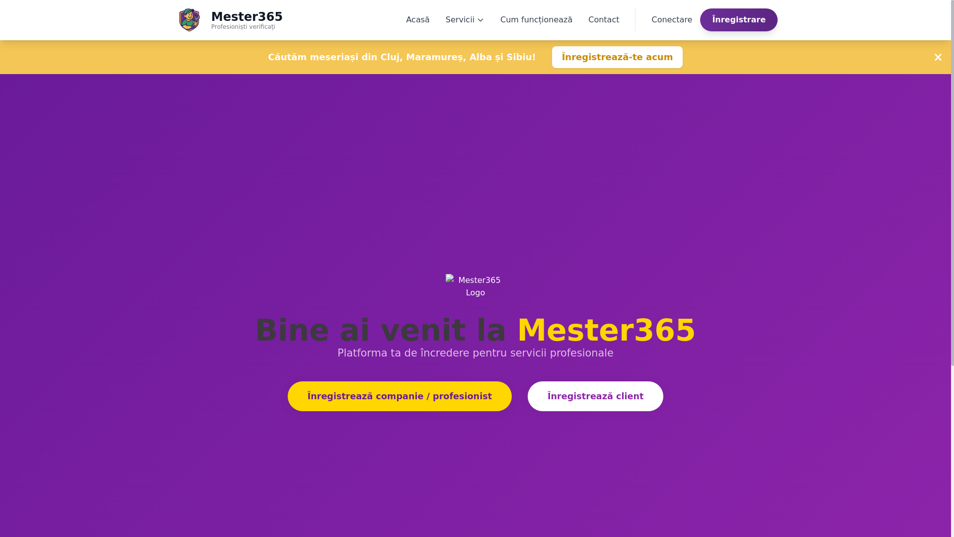 website screenshot of https://mester365.ro/