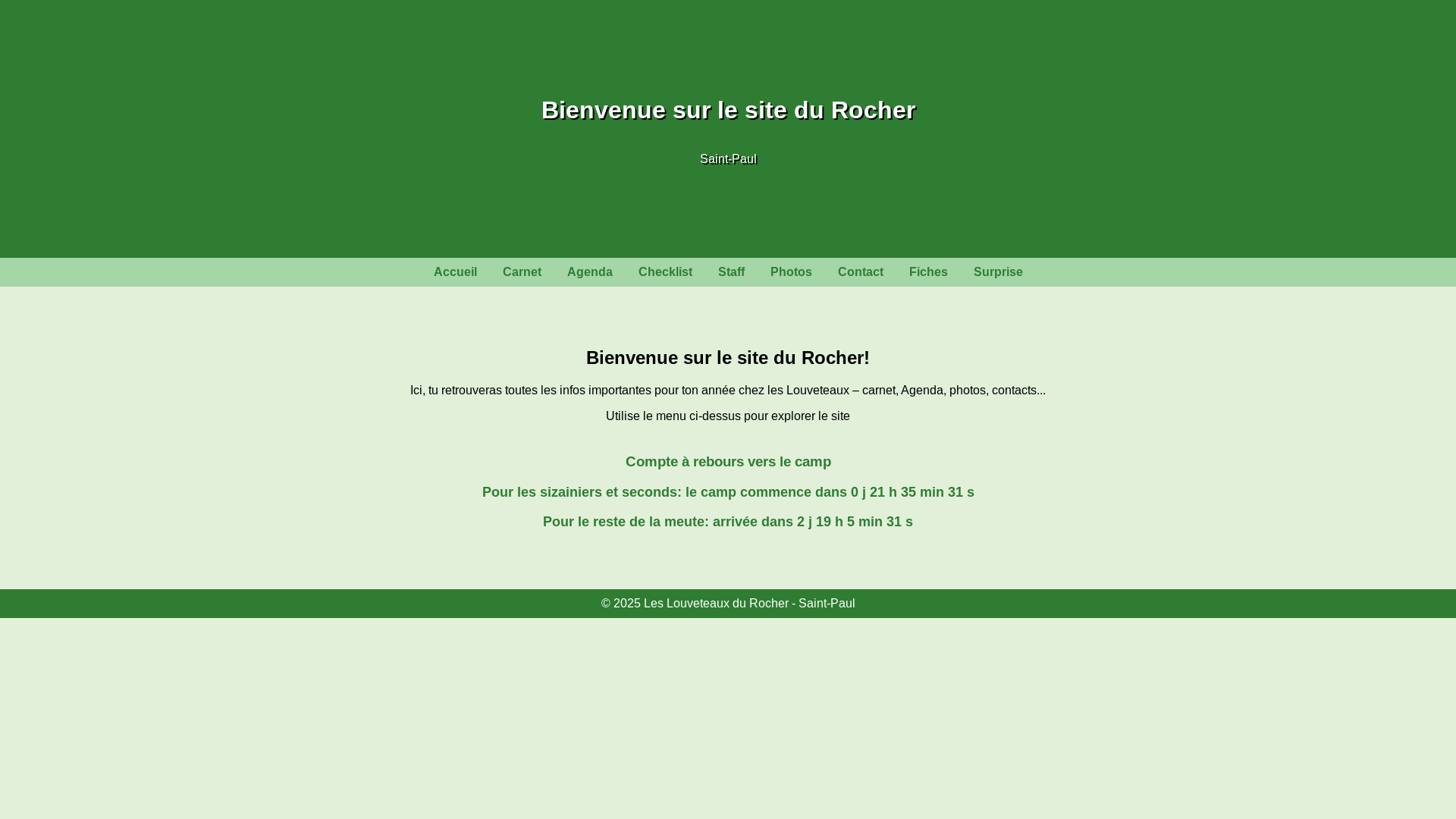 website screenshot of https://rocher51.be/