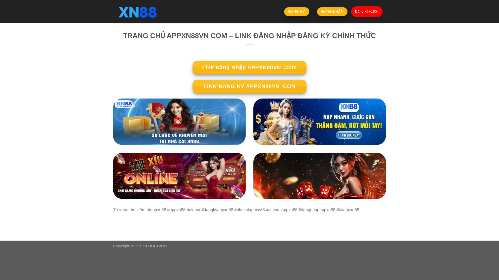 website screenshot of https://appxn88vn.net/