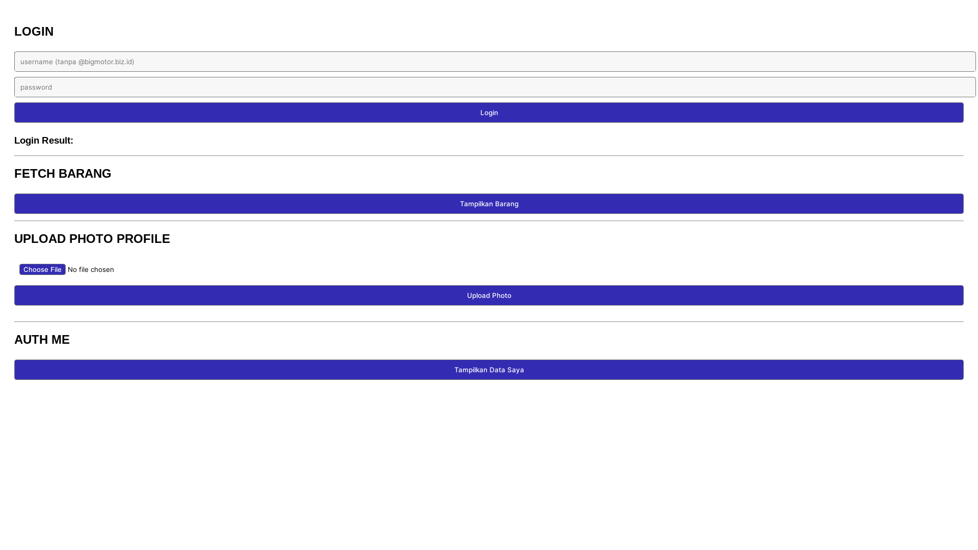 website screenshot of https://bmt-api-tester.pages.dev/