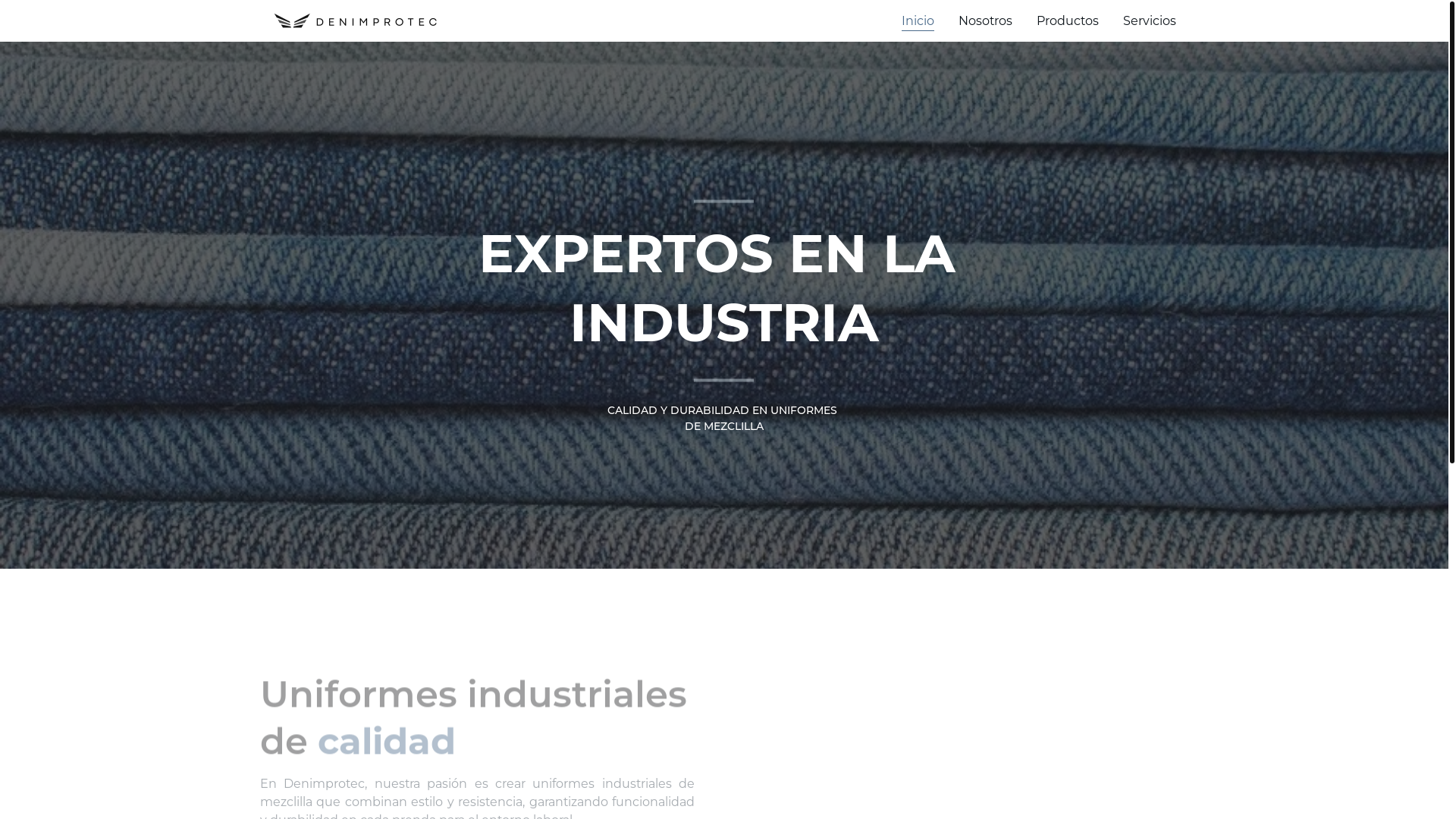 website screenshot of https://denimprotec.com/