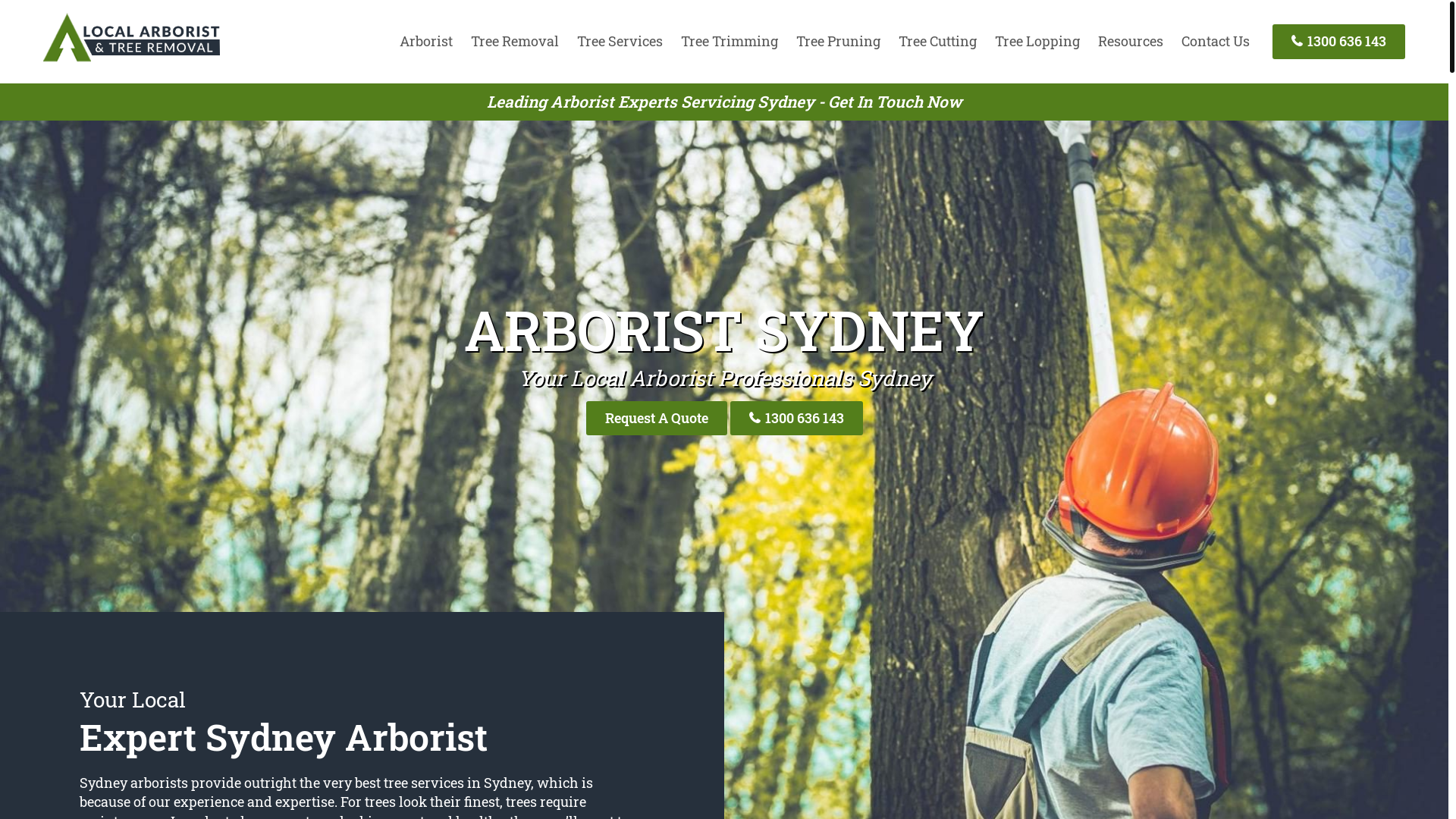 website screenshot of https://localtreeremovalsydney-com-au.pages.dev/