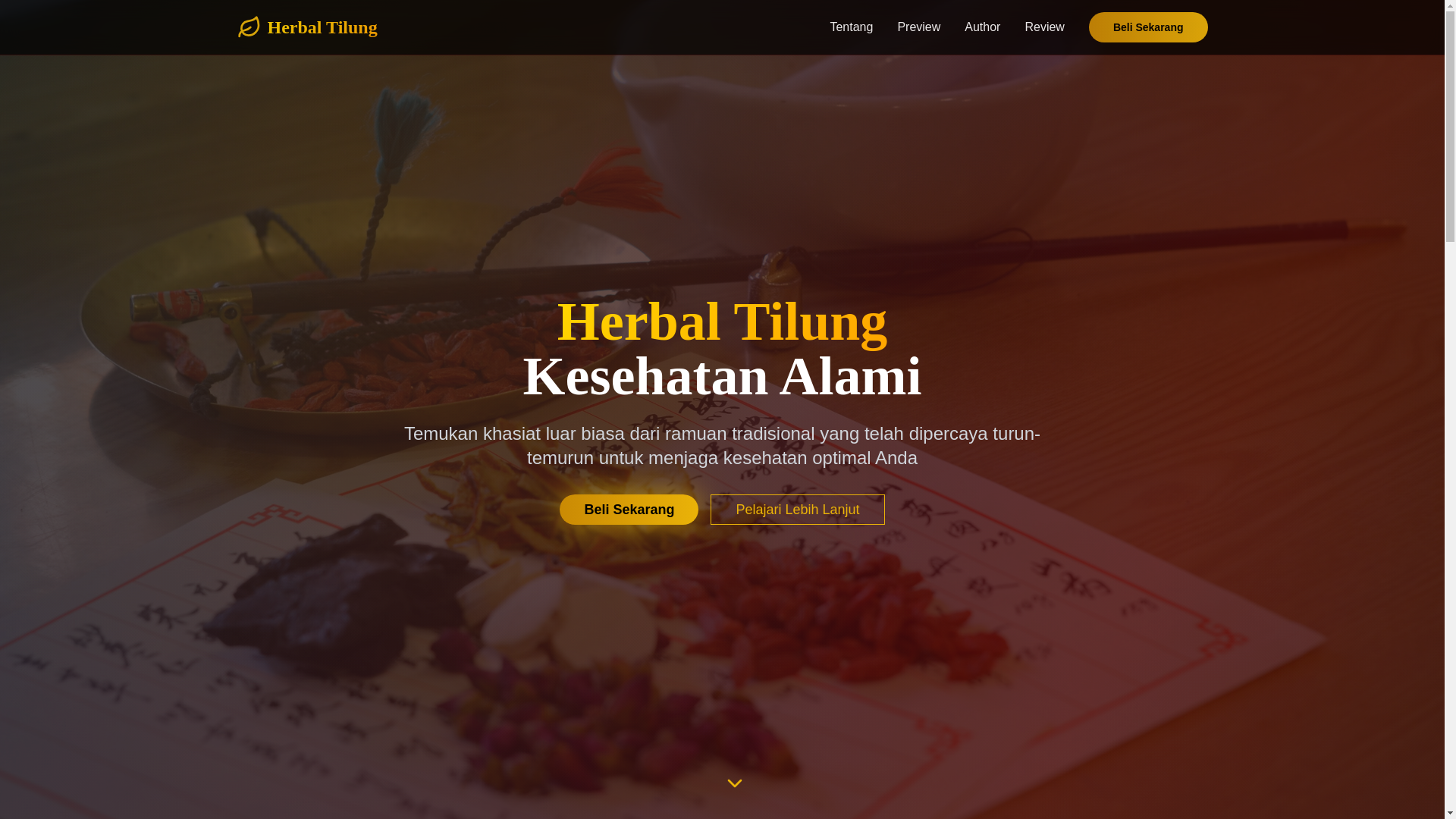 website screenshot of https://berkatabishak.com/