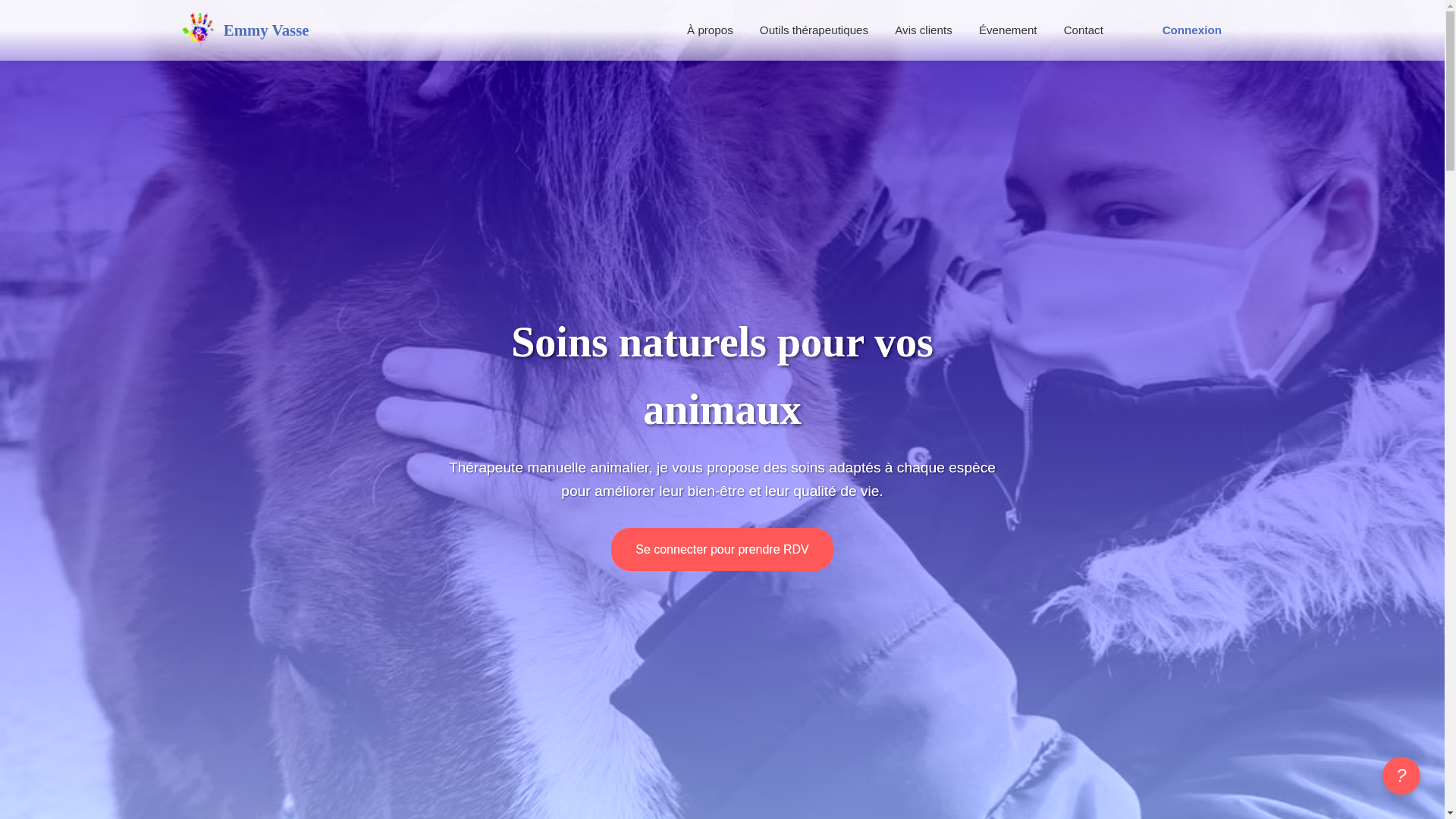 website screenshot of https://emmyvasse.com/