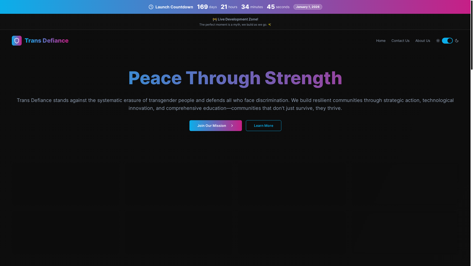 website screenshot of https://transdefiance-org-prelaunch-website.pages.dev/