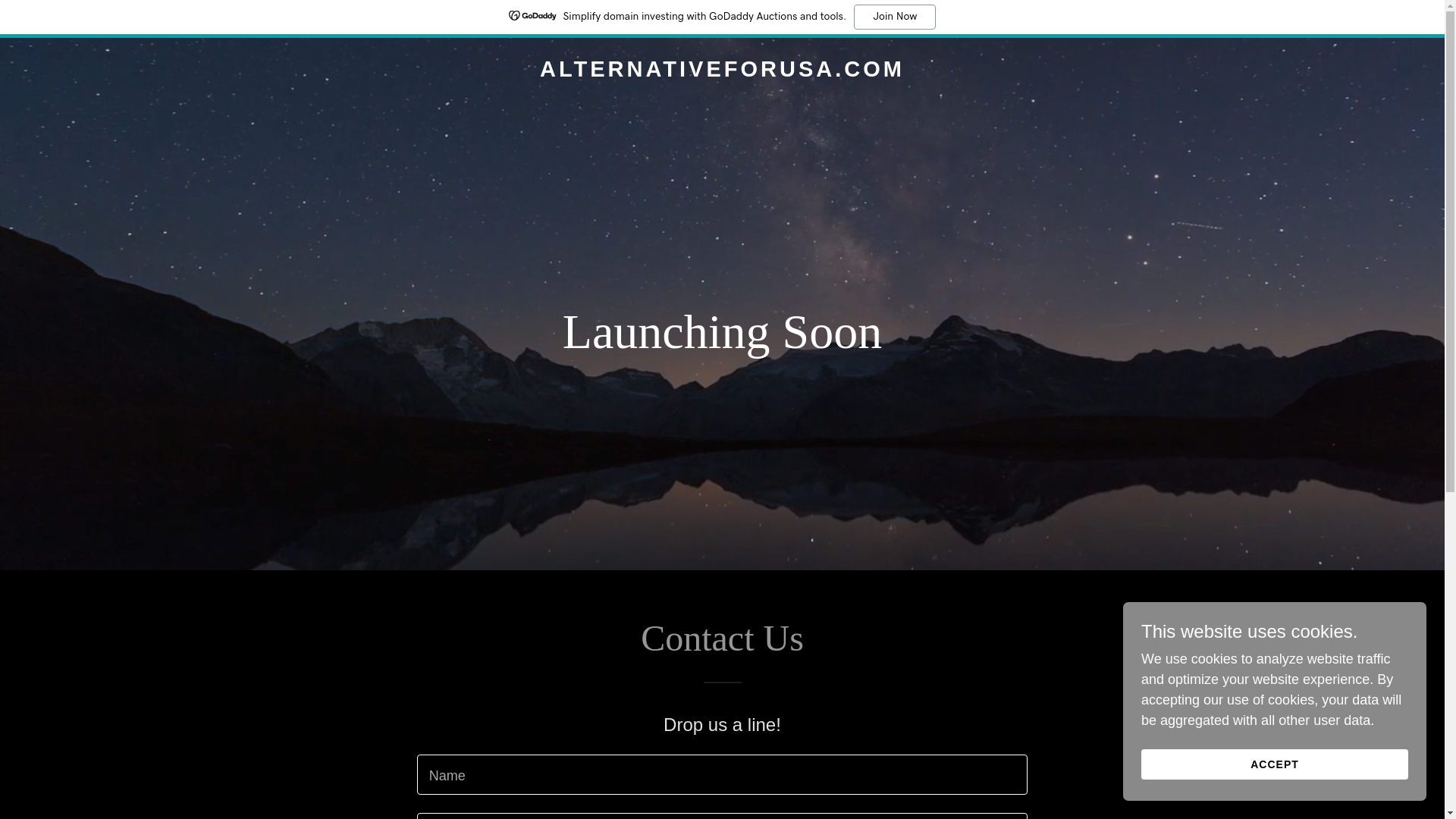 website screenshot of https://alternativeforusa.com/