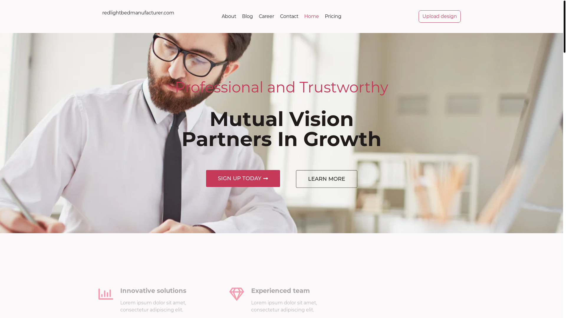 website screenshot of https://redlightbedmanufacturer.com/