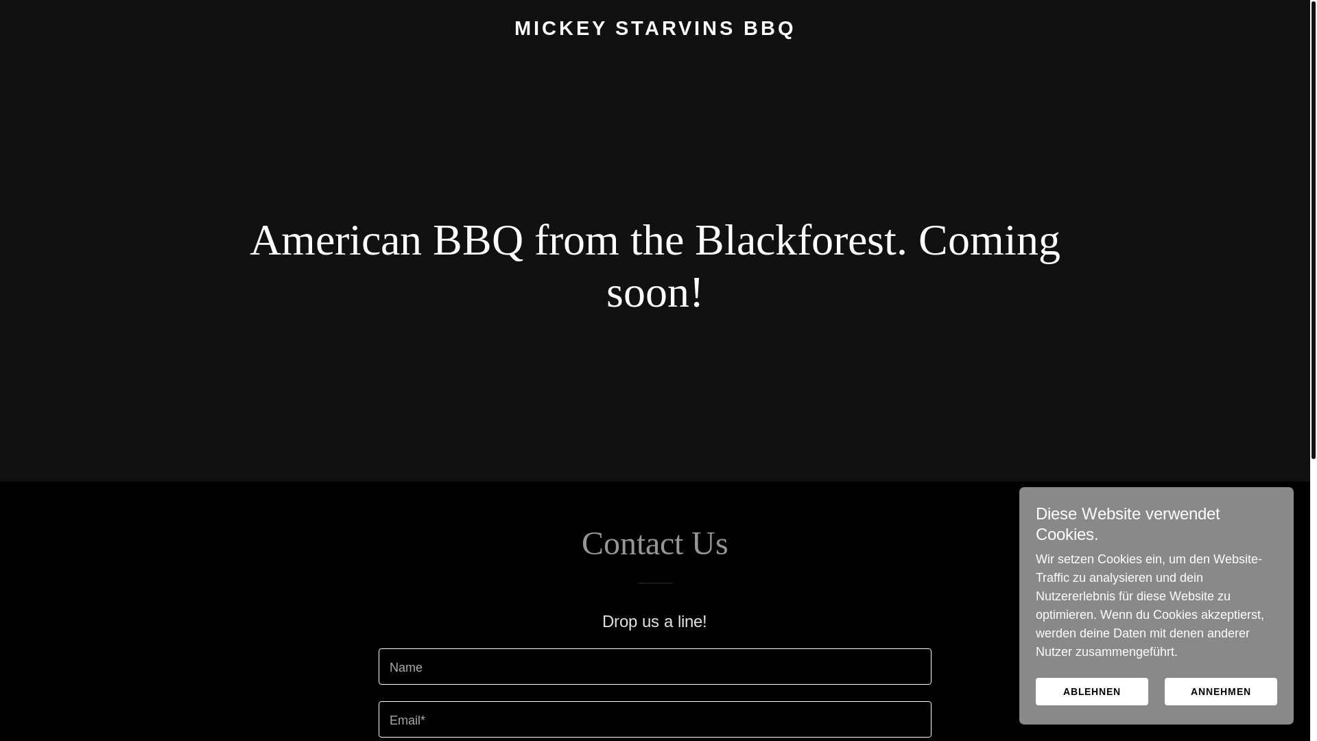 website screenshot of https://mickeystarvinsbbq.de/