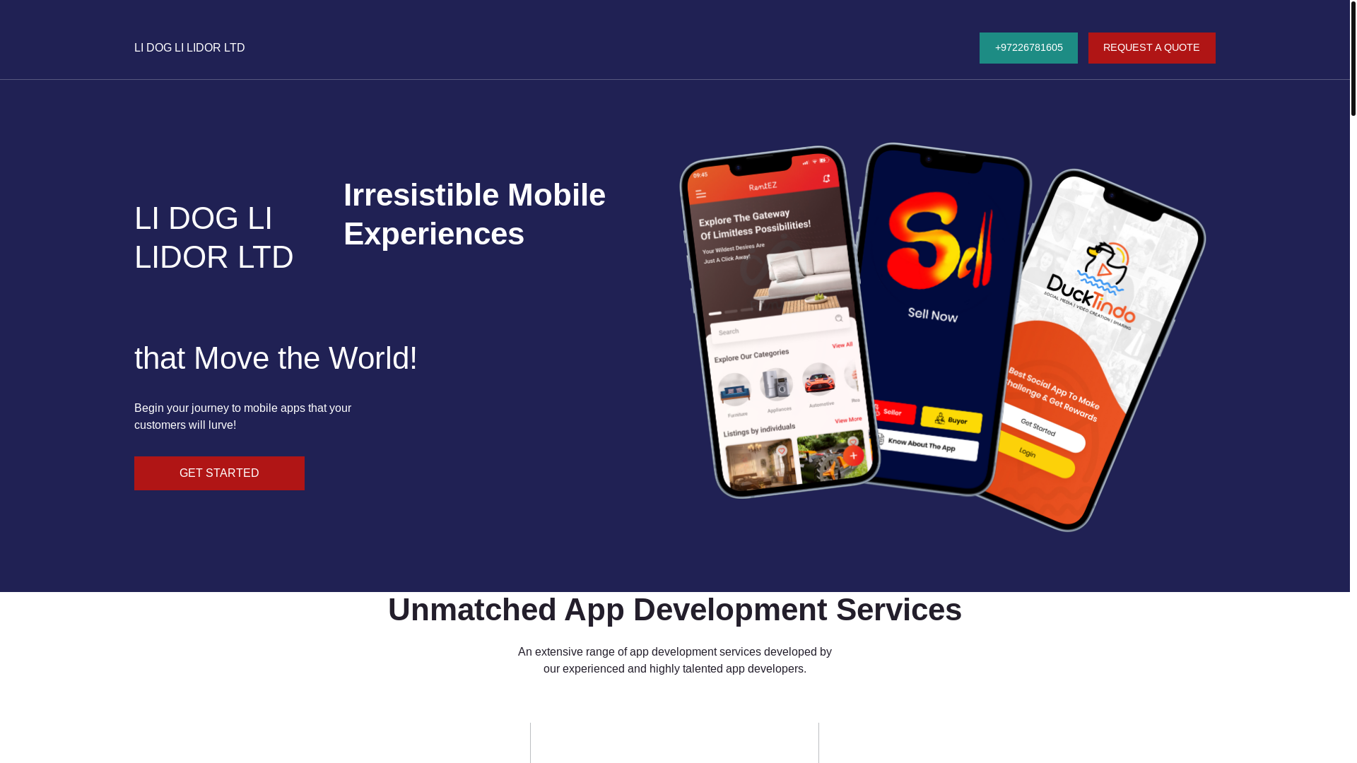 website screenshot of https://lilidorltd.com/