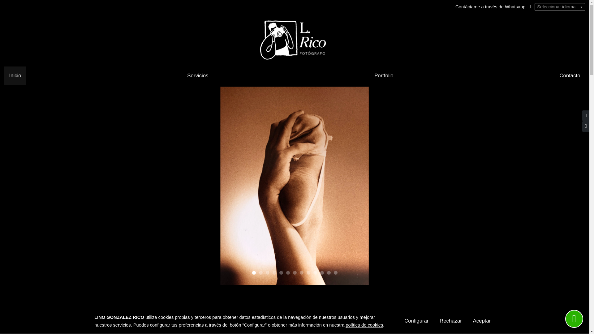website screenshot of https://linorico.es/