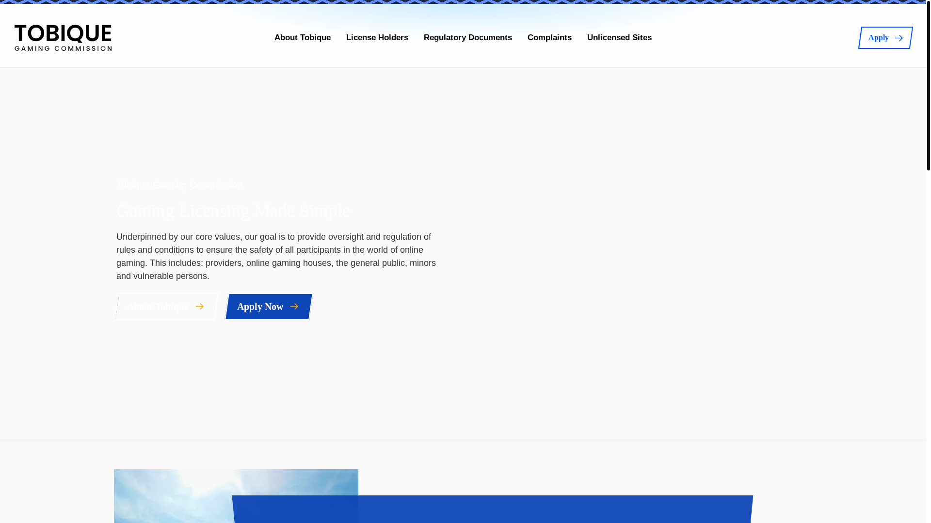 website screenshot of https://licence-9zs.pages.dev/