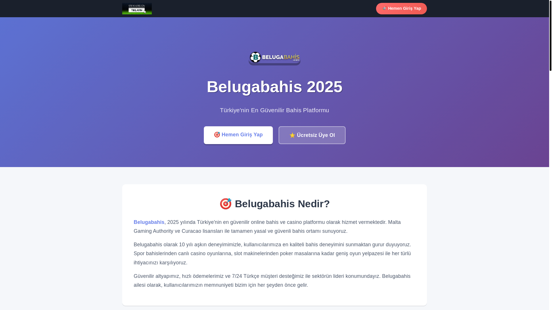website screenshot of https://belugakalite-giris.com/