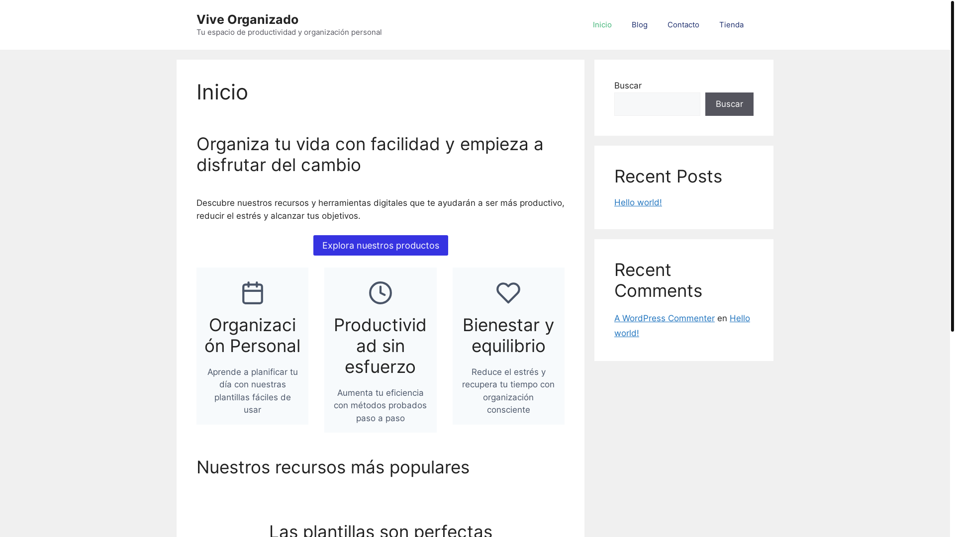 website screenshot of https://viveorganizado.com/