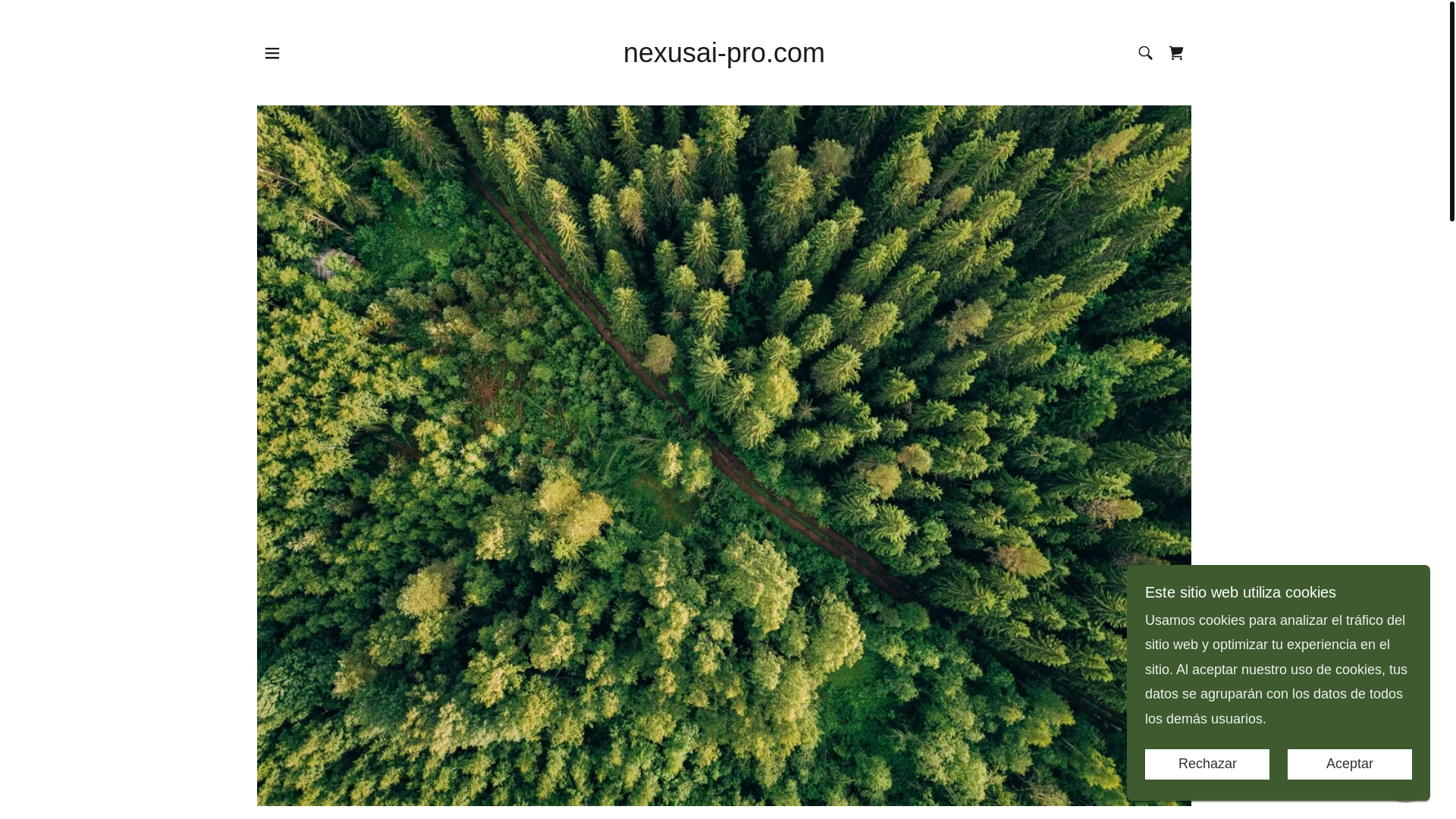 website screenshot of https://nexusai-pro.com/